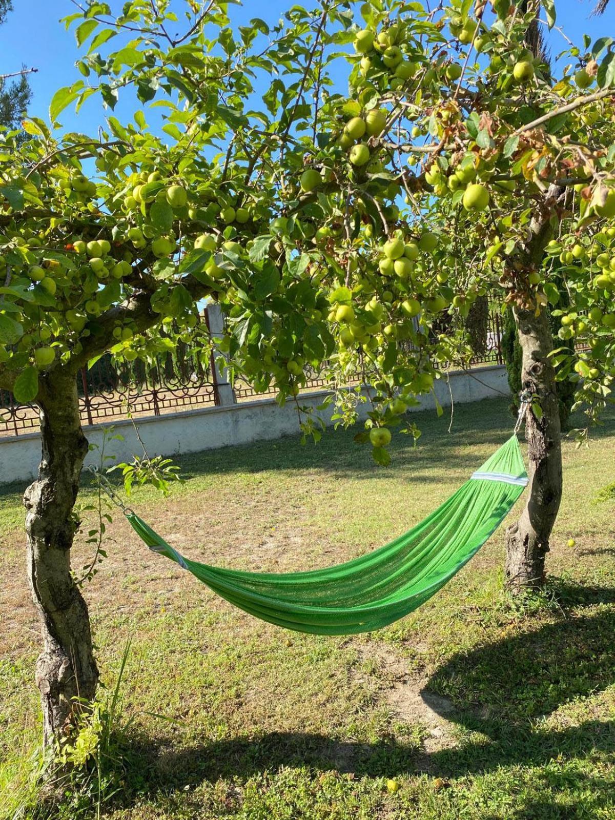 Maison D'Hotes, Superbe Et Spacieuse ,Dans Un Cadre Charmant Calme Et Verdoyant Pernes-les-Fontaines Bagian luar foto